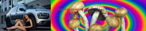 круглые Вязьма